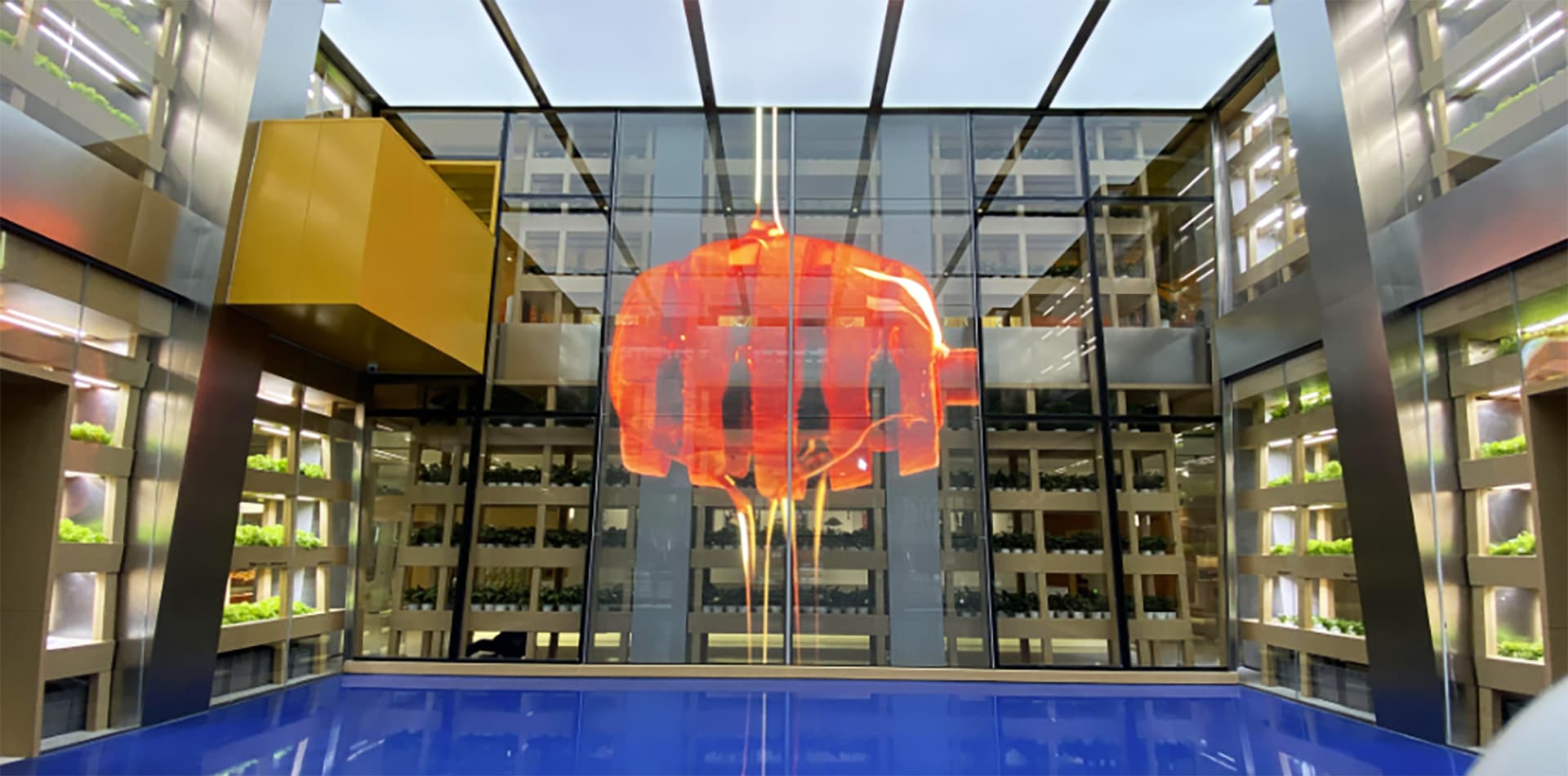 湖北优质农产品展销中心led玻璃屏