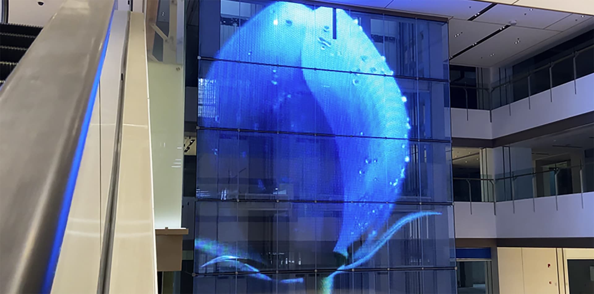 上海港城广场led玻璃屏项目