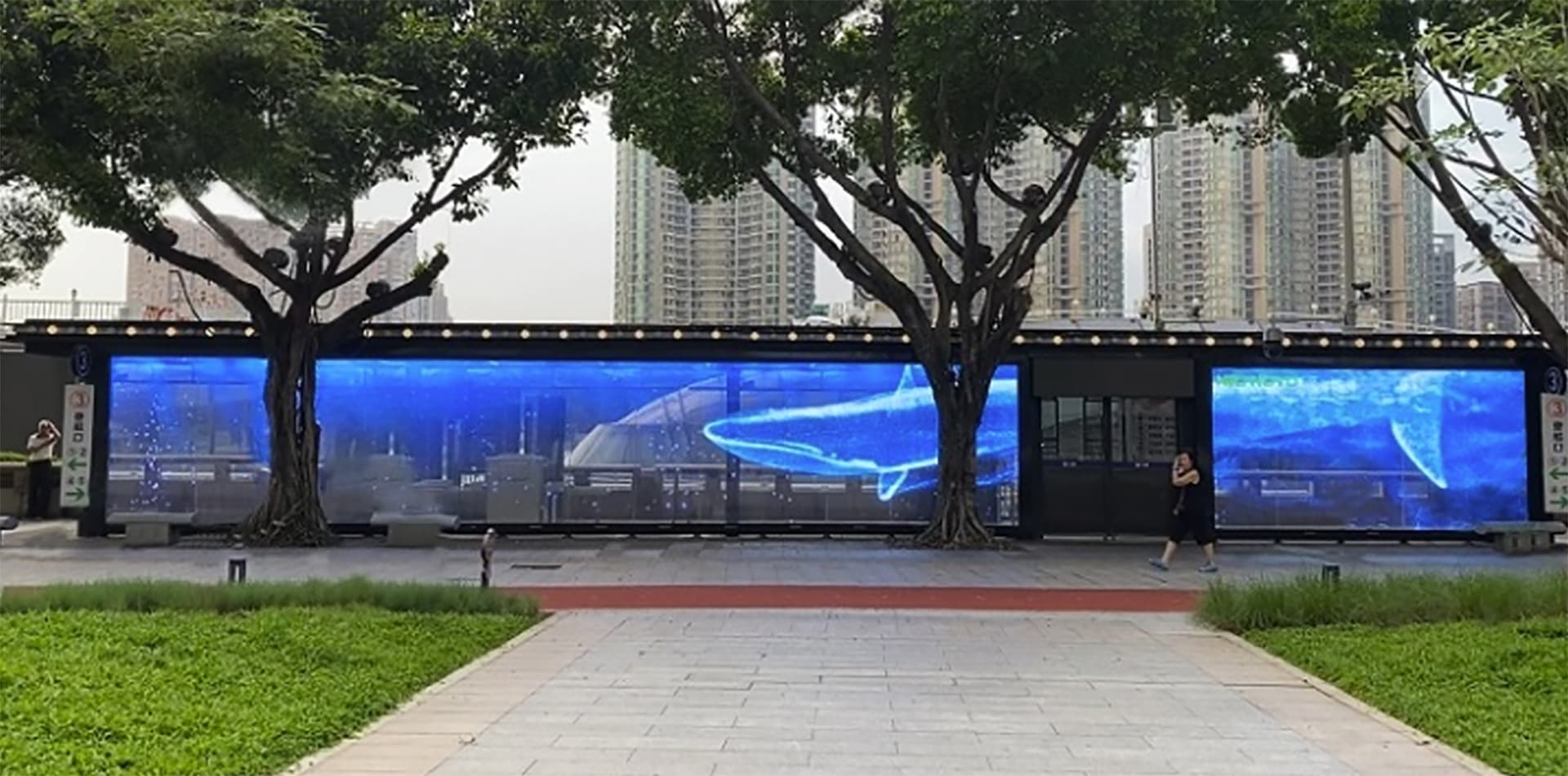 LED玻璃屏闪耀百年大沙头码头