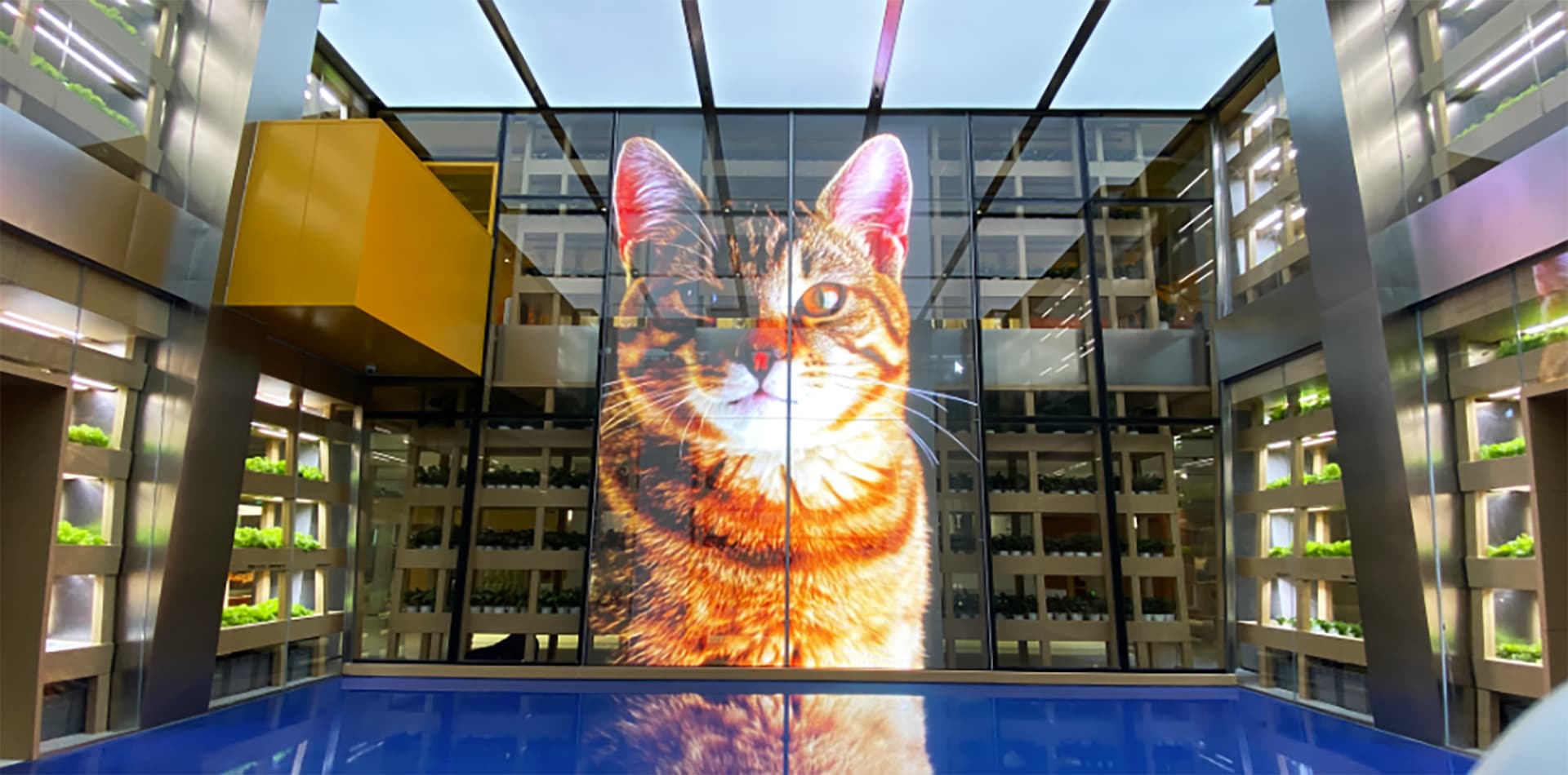 湖北优质农产品展销中心led玻璃屏